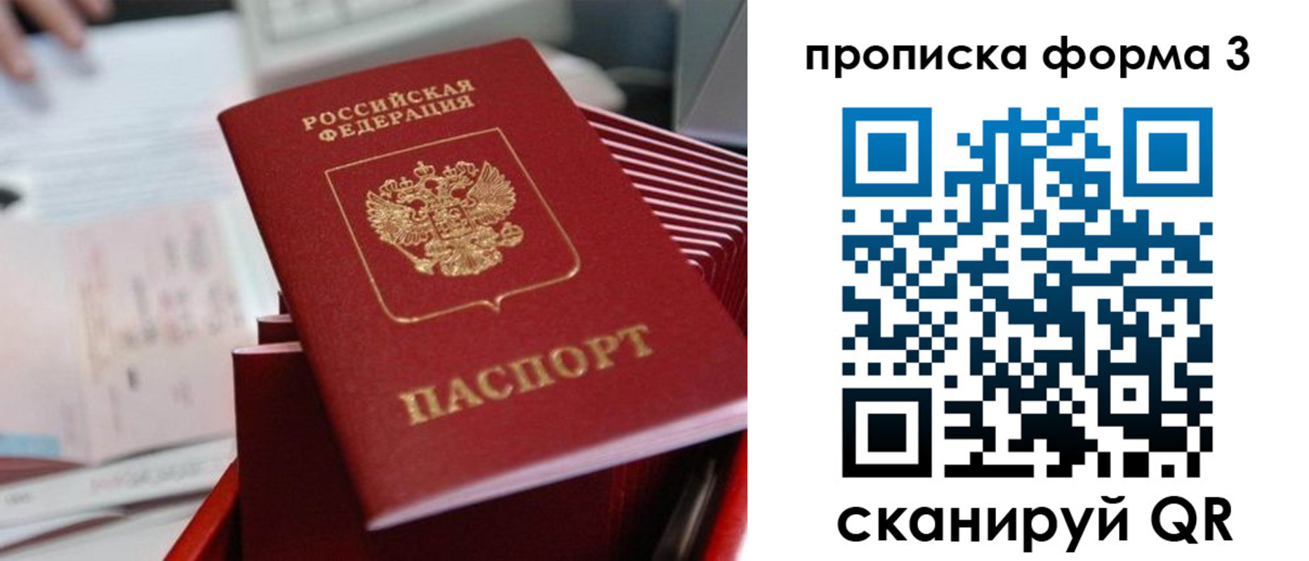 временная регистрация гарантия в Апатитах